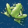 Hal's Frog