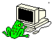Frog at computer cartoon